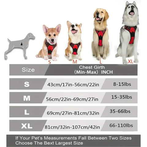 Leather Dog Collar Harness and Leash Set