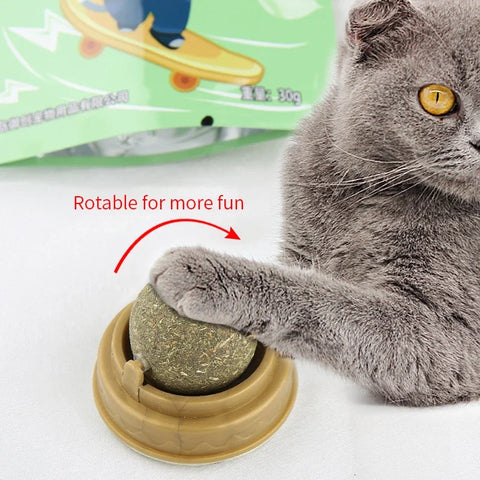 Natural Catnip Wall Cat Toy