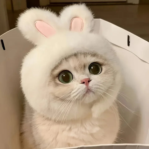 Bunny Ears Cat Hat Pet Costume