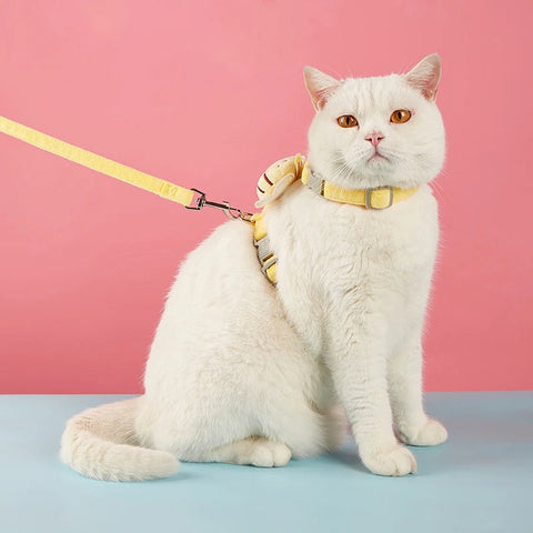 Double Layer Pet Harness Set