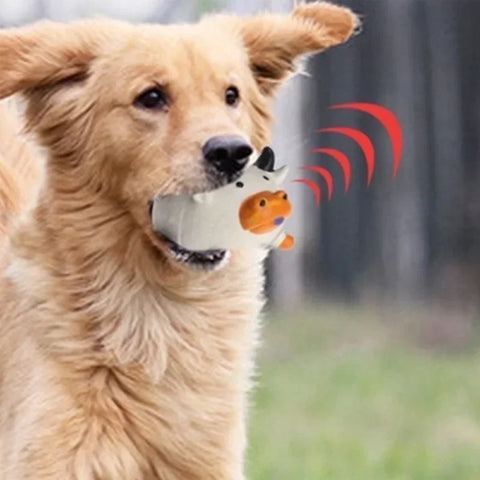 Sound Squeaky Toy for Pets
