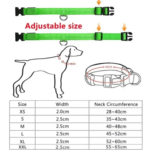 Rechargeable Flashing Pet Collar