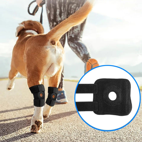 Pet Leg Injury Recovery Wrap