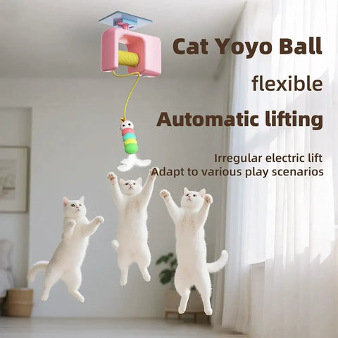 Interactive Stress Relief Cat Toy