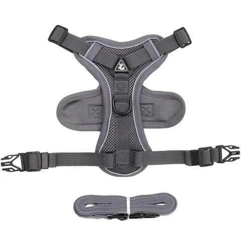Kitten Puppy Chest Strap Harness