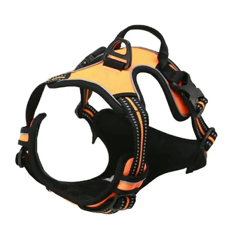 Leather Dog Collar Harness and Leash Set