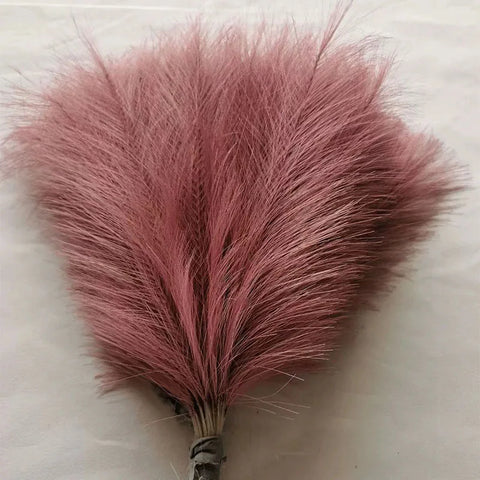 High Quality Decorative Pampas Grass