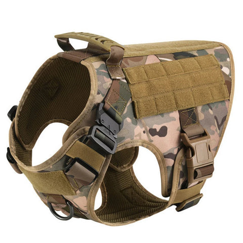 Large Dog Harness Collar and Leash