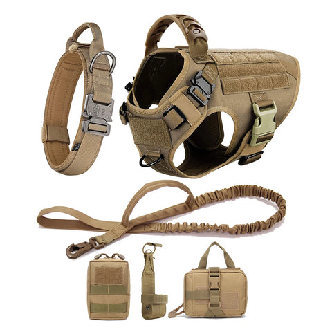 Large Dog Harness Collar and Leash