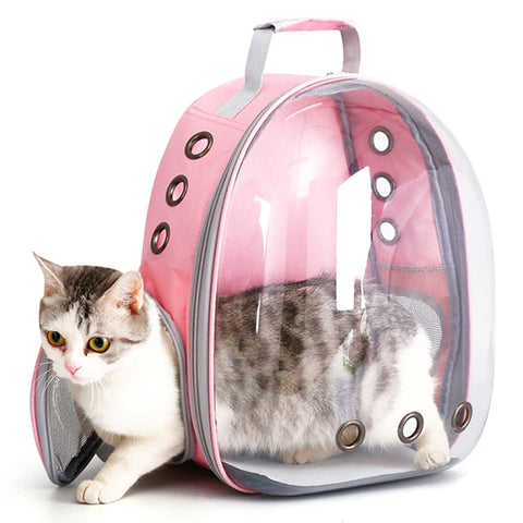 Transparent Dome Pet Backpack