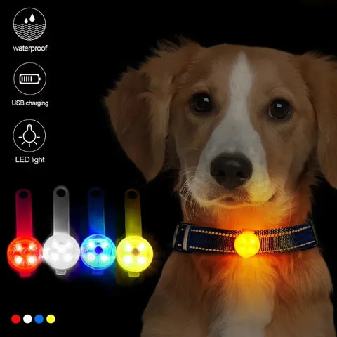 Light Up Dog and Cat Collar