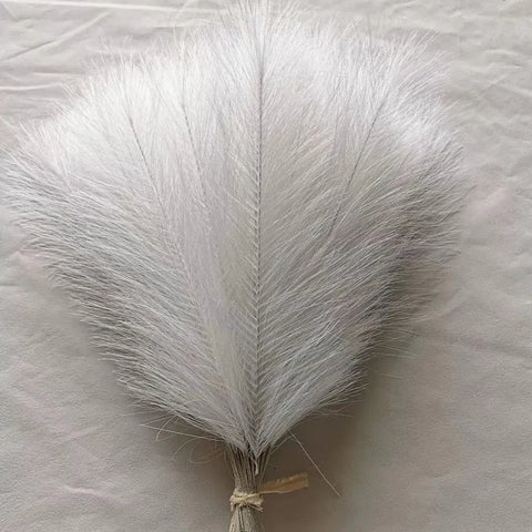 High Quality Decorative Pampas Grass