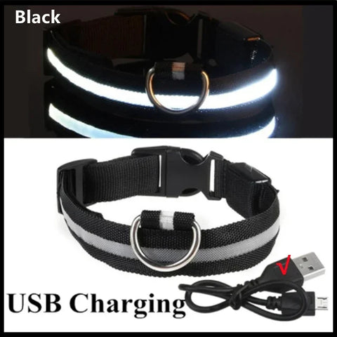 Rechargeable Flashing Pet Collar