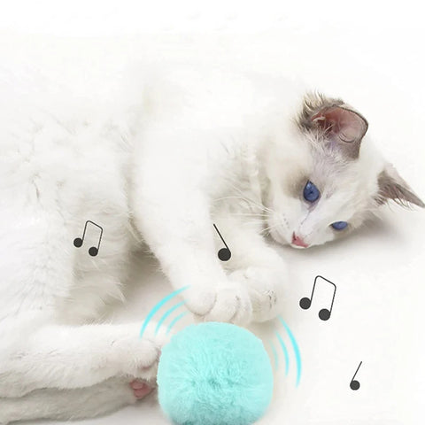 Plush Electric Cat Training Ball Toy