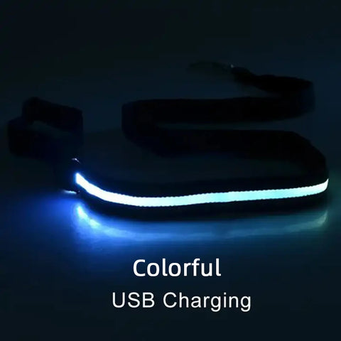 Luminous Flashing Dog Rope Lead