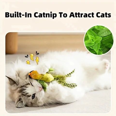 Cat Toy for Kittens with Catnip