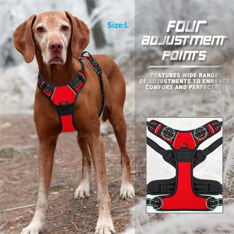 Leather Dog Collar Harness and Leash Set