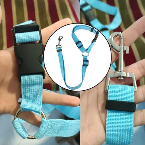 Backseat Dog Harness and Leash