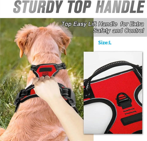 Leather Dog Collar Harness and Leash Set