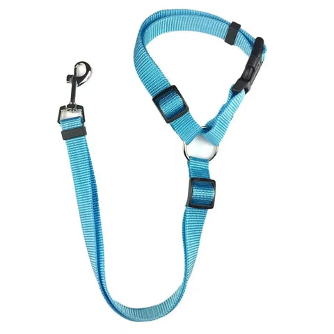 Backseat Dog Harness and Leash