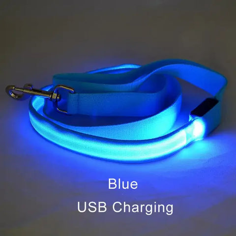 Luminous Flashing Dog Rope Lead