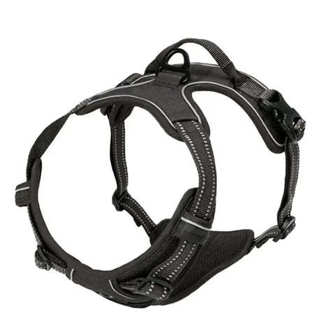 Leather Dog Collar Harness and Leash Set